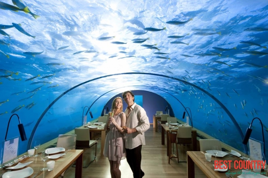 Dine underwater without getting wet