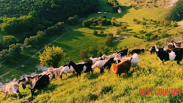 Climate of Moldova