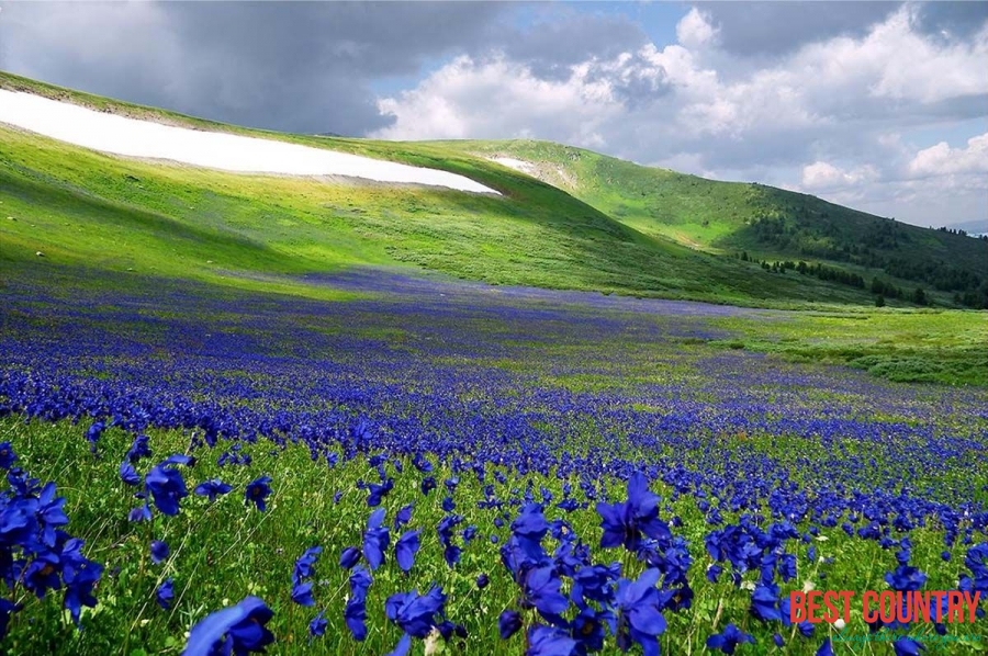 Climate of Mongolia