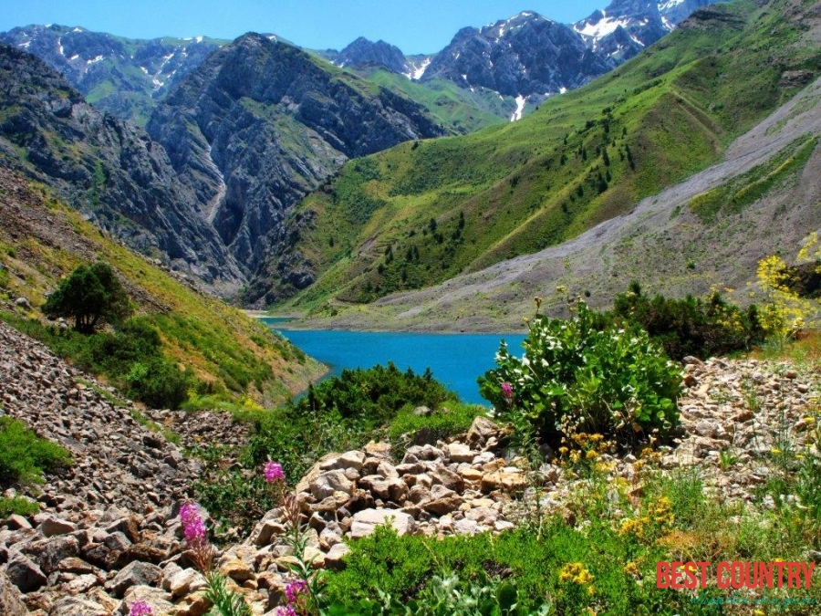 Климат в Узбекистане