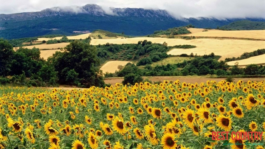 Climate of Spain