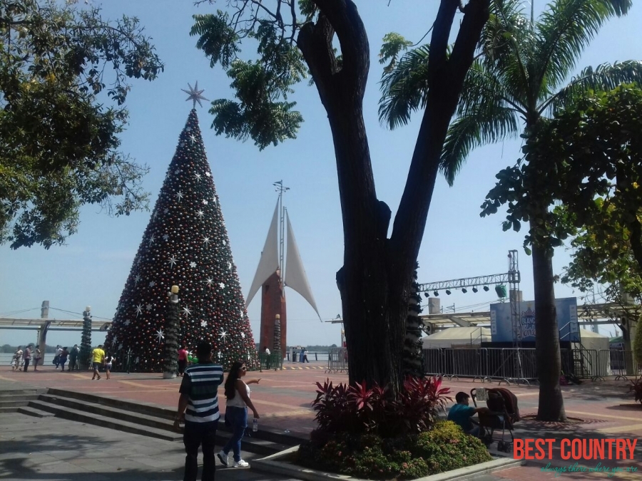 Christmas in Ecuador