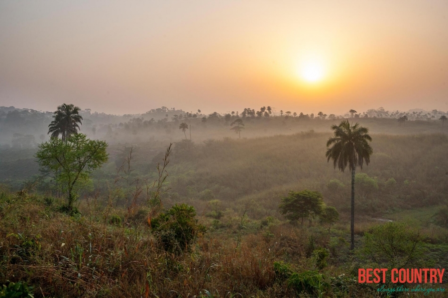 Climate of Guinea